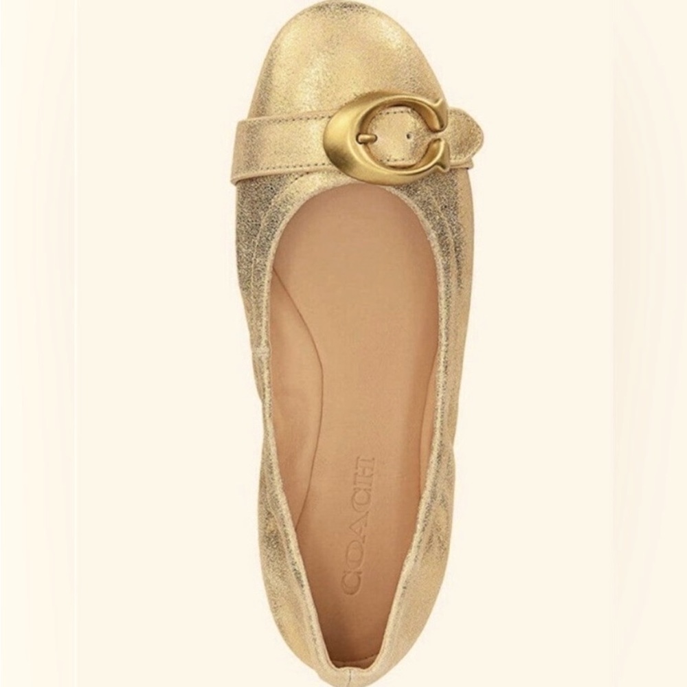 NWOT - Coach Stanton Ballet Leather Flats